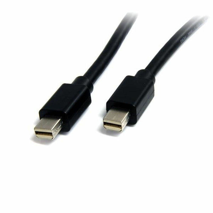 Kabel Mini DisplayPort Startech MDISP2M              (2 m) 4K Ultra HD Czarny
