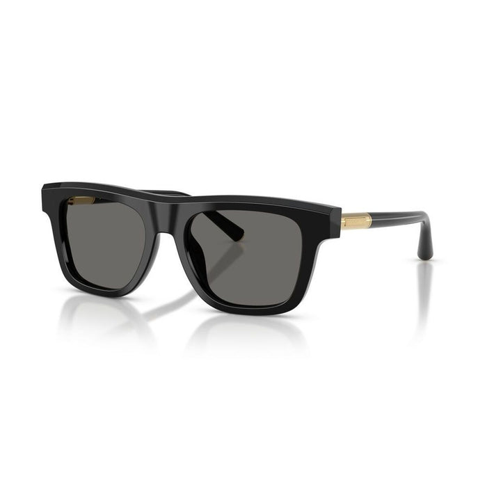 Men's Sunglasses Dolce & Gabbana DG 4521